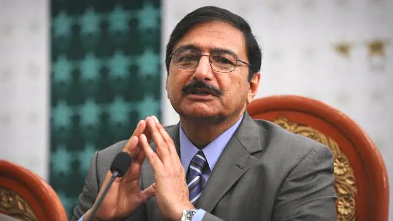 Zaka Ashraf pcb