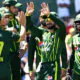 Pakistan win last t20 against New Zealand