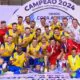 Brazil won copa america futsal 2024