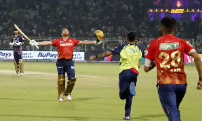 crifo IPL kolkata punjab