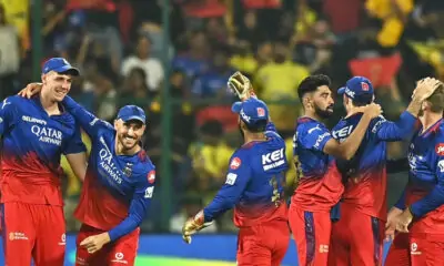 IPL_Chennai Super Kings vs Royal Challengers Bengaluru