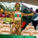 bangladashi iconic fan