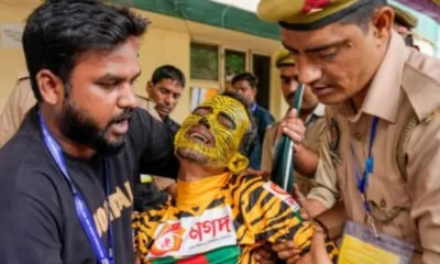 Bangladeshi Cricket fan