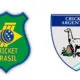 Brazil-Argentina Cricket