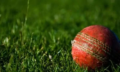 Cricket ball