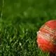 Cricket ball