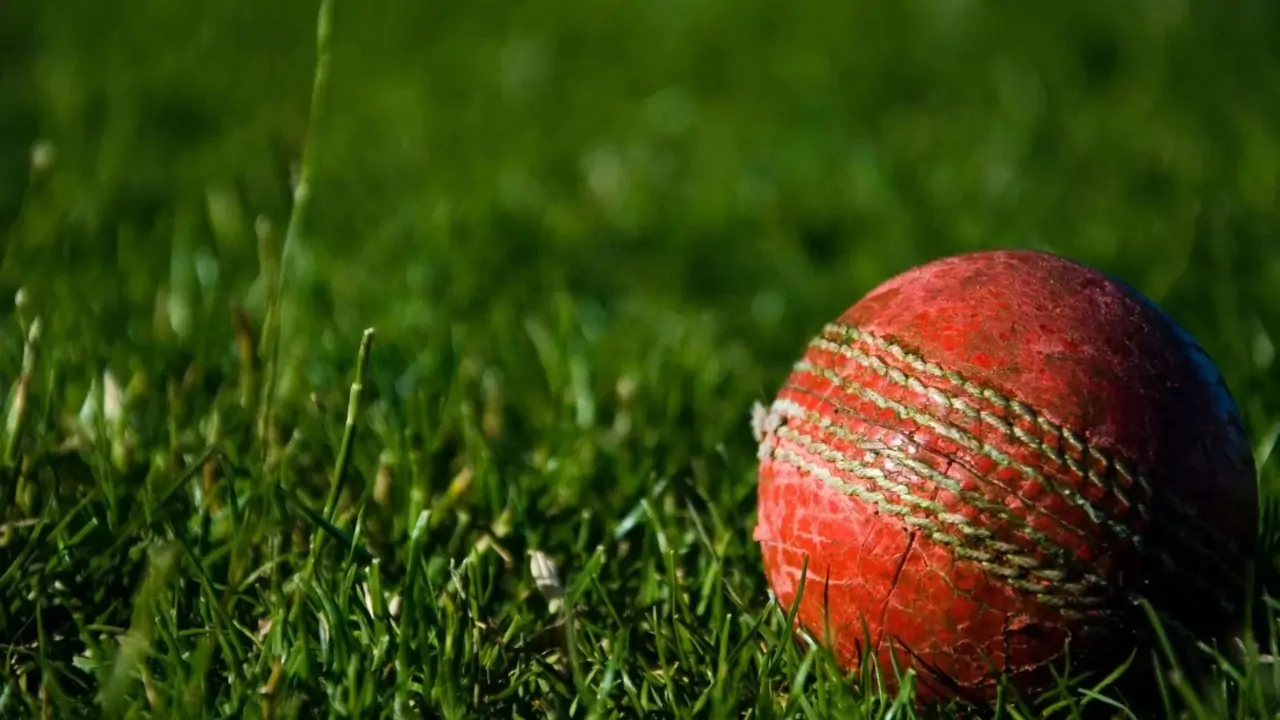 Cricket ball