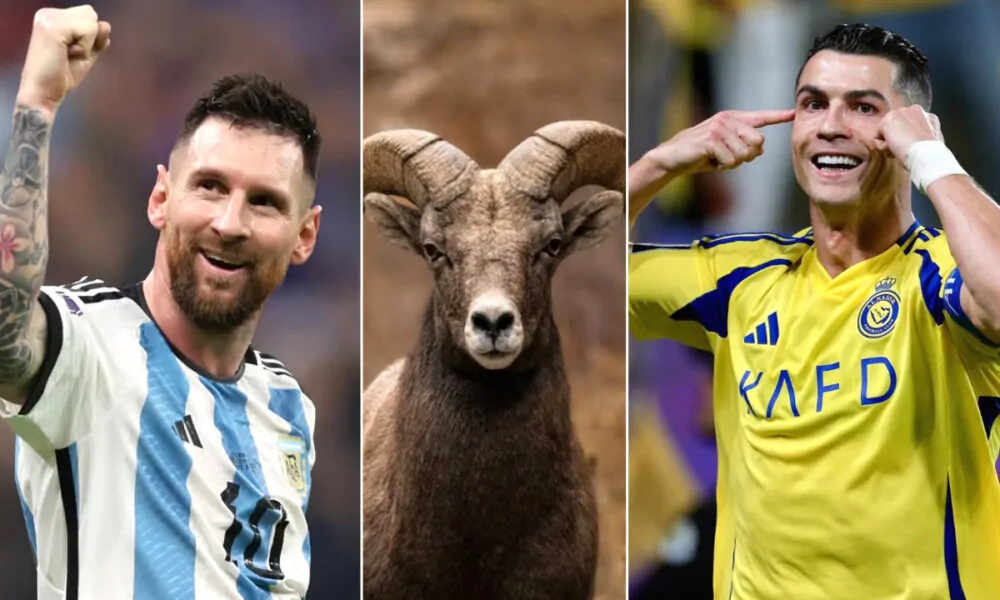 Messi and Ronaldo is GOAT