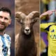 Messi and Ronaldo is GOAT