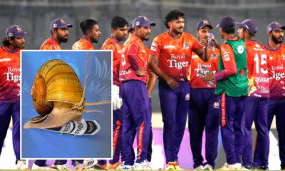 Durbar Rajshahi post after defeat Rangpur Riders