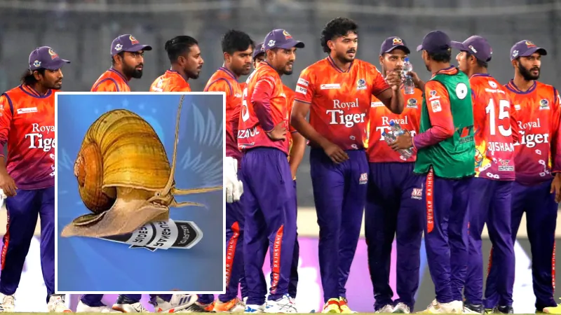 Durbar Rajshahi post after defeat Rangpur Riders