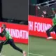 Maxwell wins everyone's hearts with an incredible catch